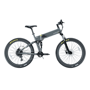 Legend Etna SR Electric Mountain Bike 250w