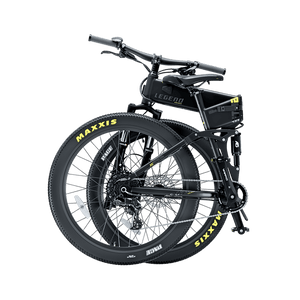 Legend Etna SR Electric Mountain Bike 250w